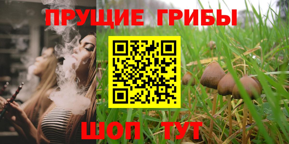 Галлюциногенные грибы Psilocybine cubensis  Псилоцибиновые грибы мухоморы  Назарово  Вход с VPN 