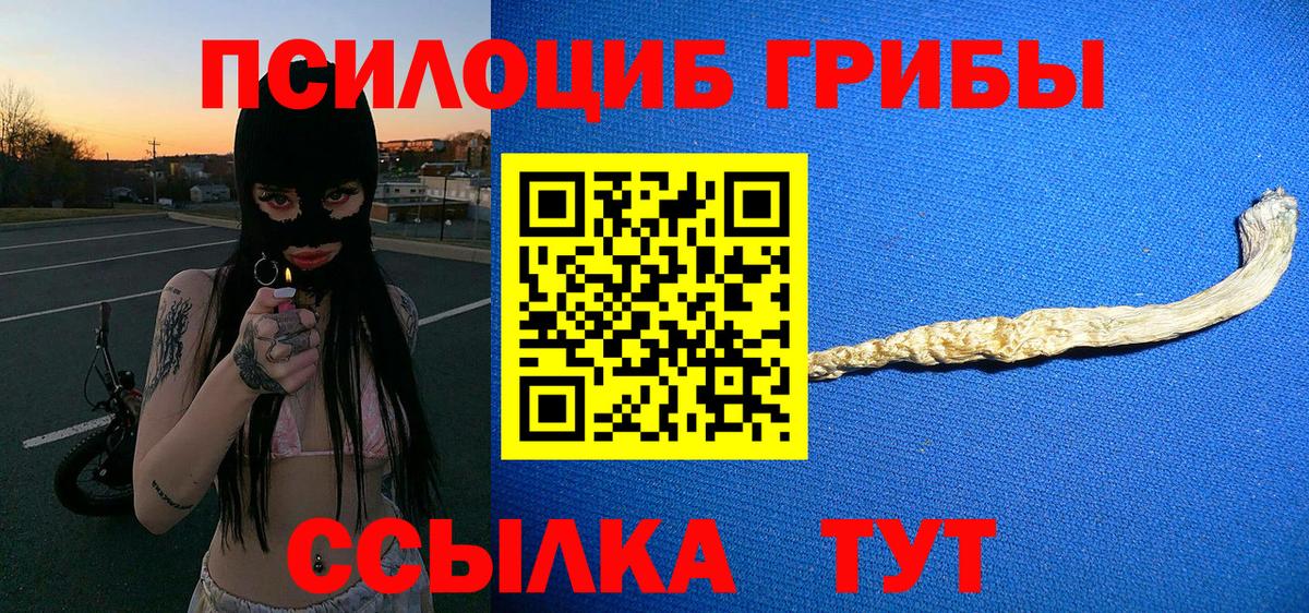 Псилоцибиновые грибы Назарово