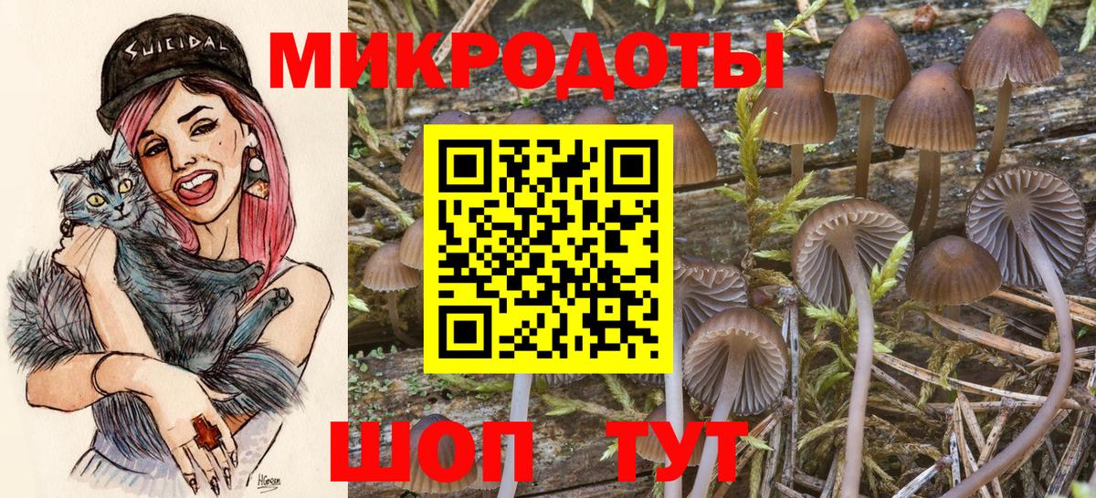 Псилоцибиновые грибы Psilocybe Назарово